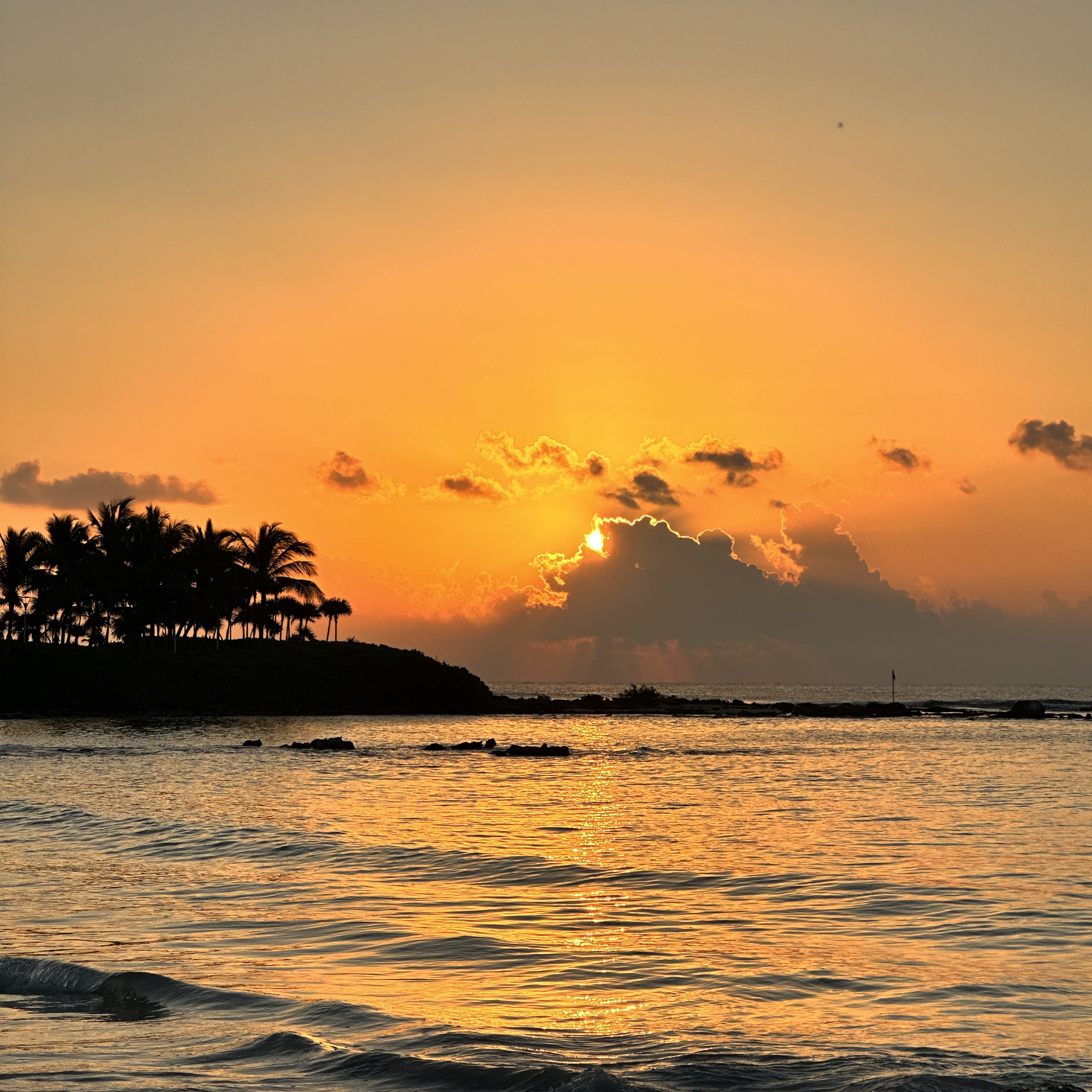 Familia García - Misa de Réquiem